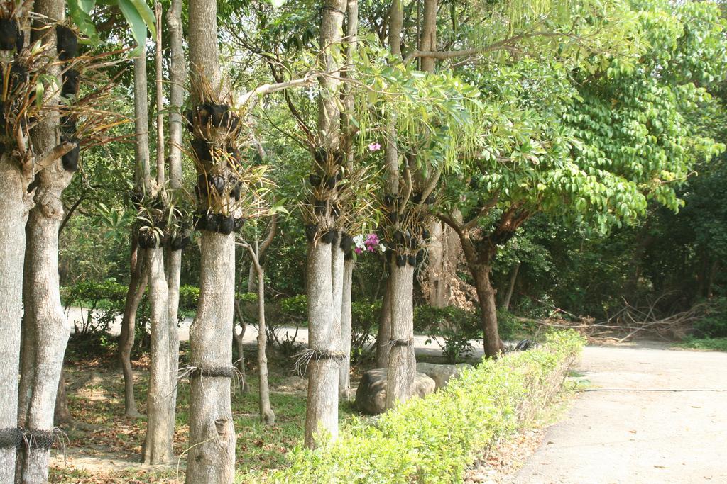 Butterfly B&B Manzhou Exterior foto