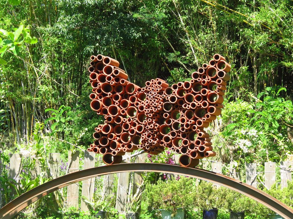 Butterfly B&B Manzhou Exterior foto